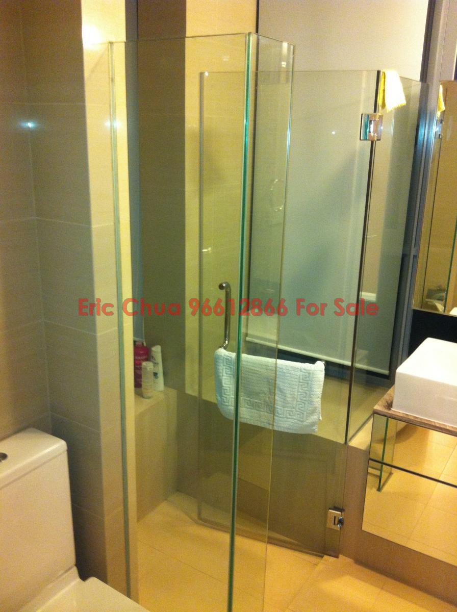 Angullia Park Residences @ Orchard (D10), Apartment #101153872